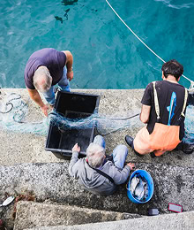Tour dei Pescatori