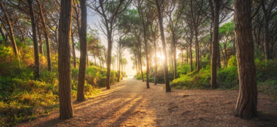 Erlebniswelt im Grünen