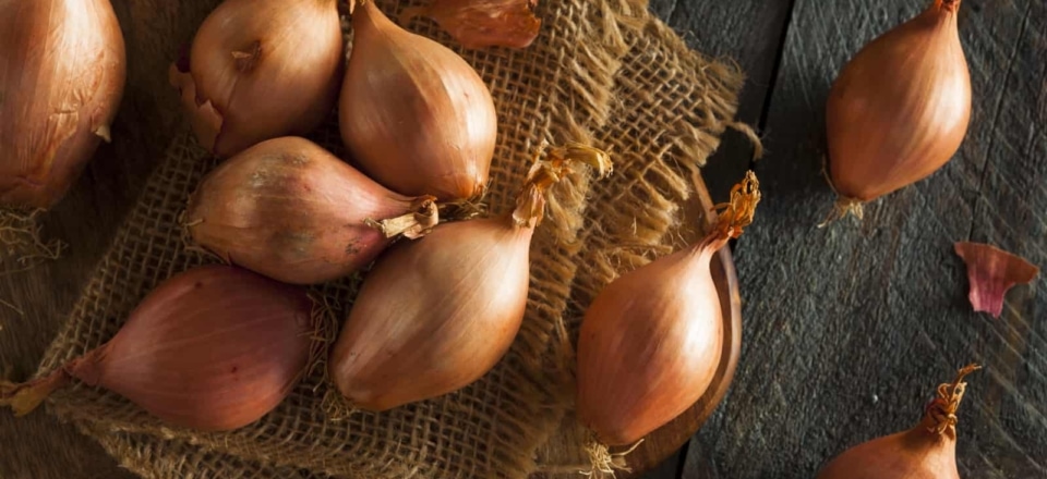 Typische Erzeugnisse des Landes um Cesenatico