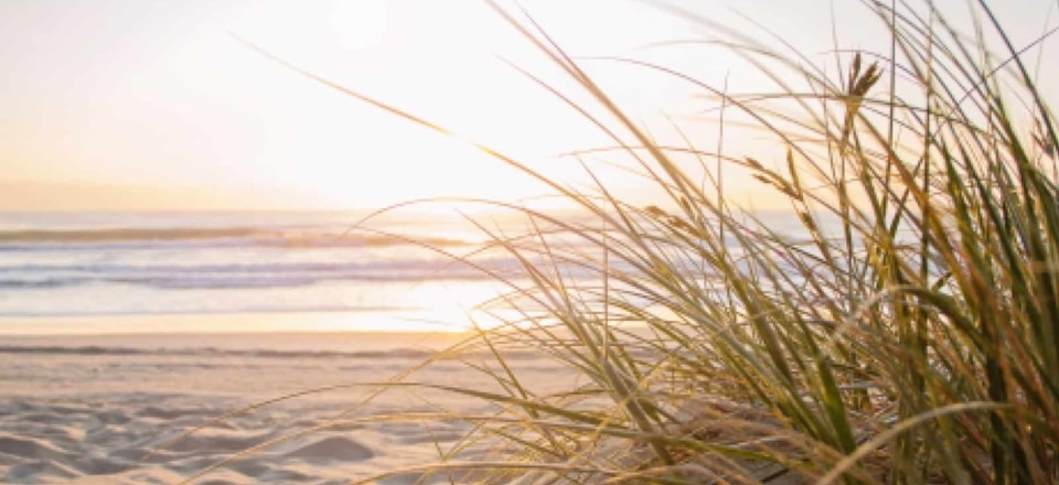 Erlebniswelt im Grünen