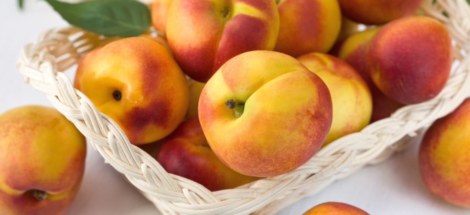 Typische Erzeugnisse des Landes um Cesenatico