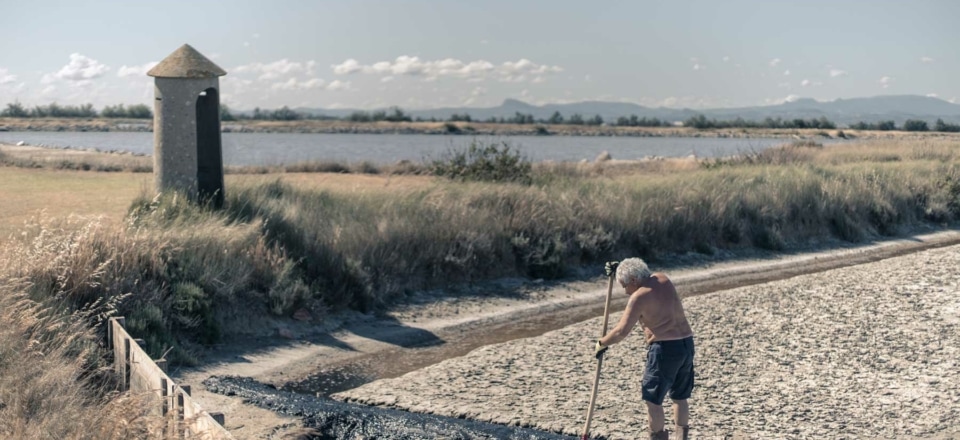 Les marais salants de Cervia
