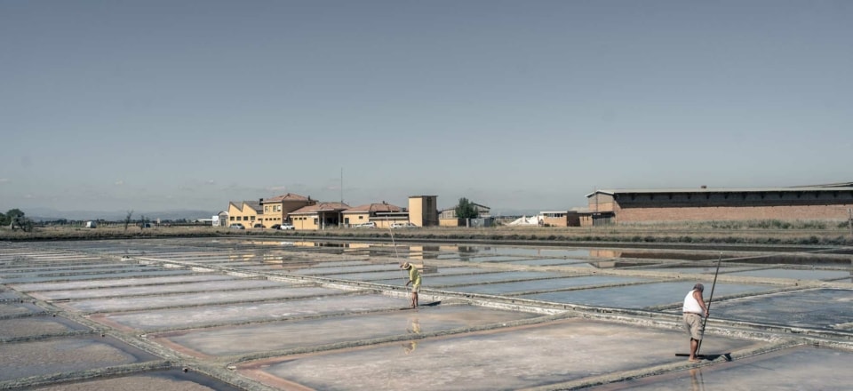 Les marais salants de Cervia
