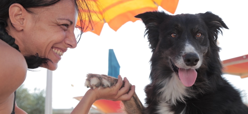 Espaces verts dédiés aux chiens