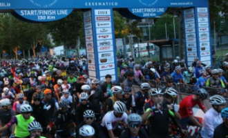 NoveColli Pauschale Eintragung