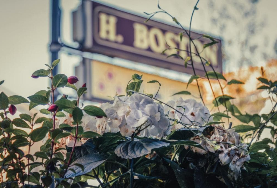 Hotel Boston