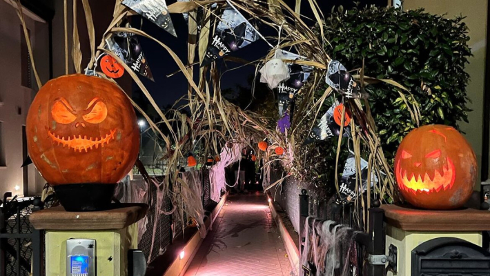Horror Halloween