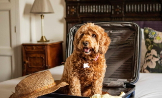 Offerta Pet Friendly