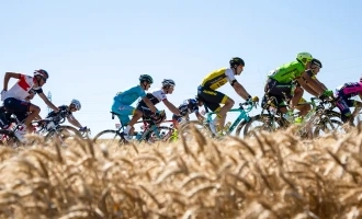 Nove Colli 2026 – Start from the Yellow Grid with Hotel & Residence Elisabetta!