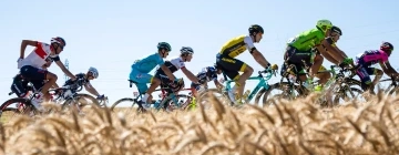 Start from the Yellow Grid with Hotel & Residence Elisabetta!