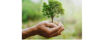 Offerta Ecomondo 2025 - Rimini Fiera