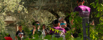 Food & Wine Bike: Sonderangebot im Juni