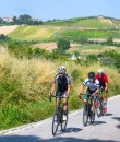 Romagna in bici