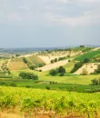 Gita a "Fattoria Ricci"