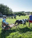 Cena al Podere "La Fattoria"